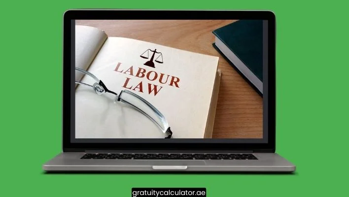 Know Your Rights - Labour Law for limited contract in UAE Termination Clauses: